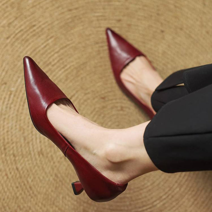 Darcy Waltz Elegant Pumps by Belsetta